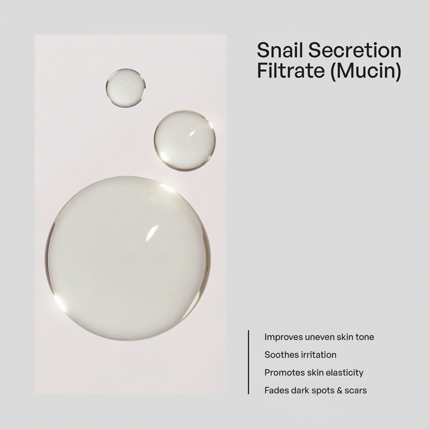 Snail Mucin Essence