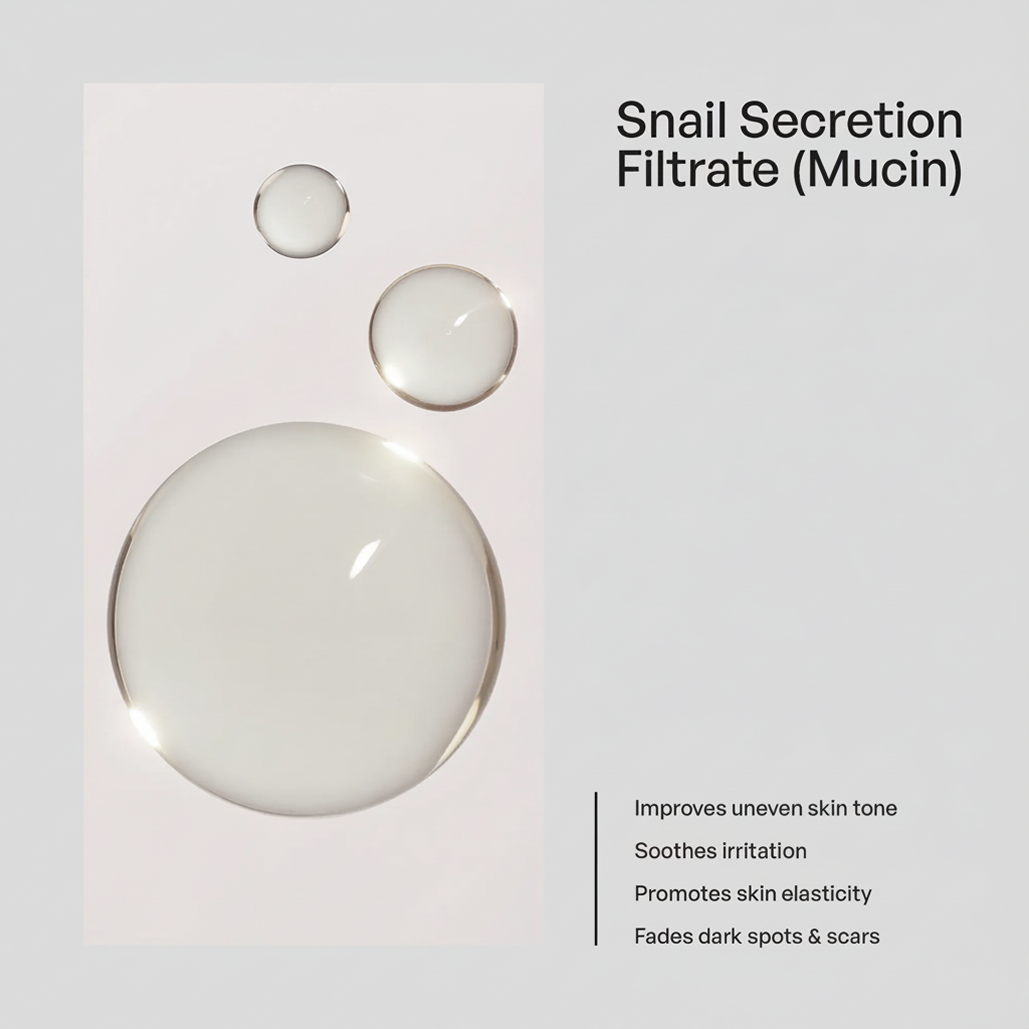 Snail Mucin Essence